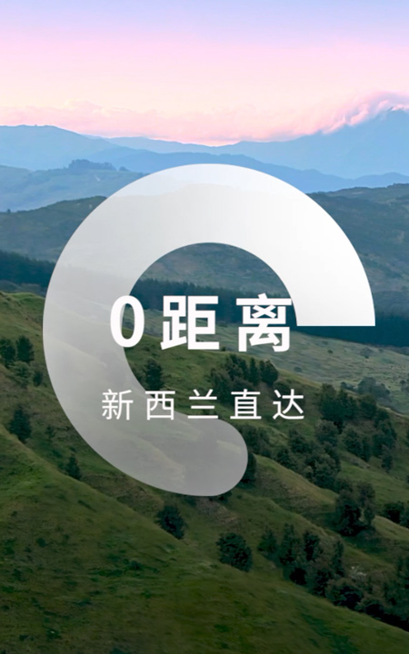 MK体育